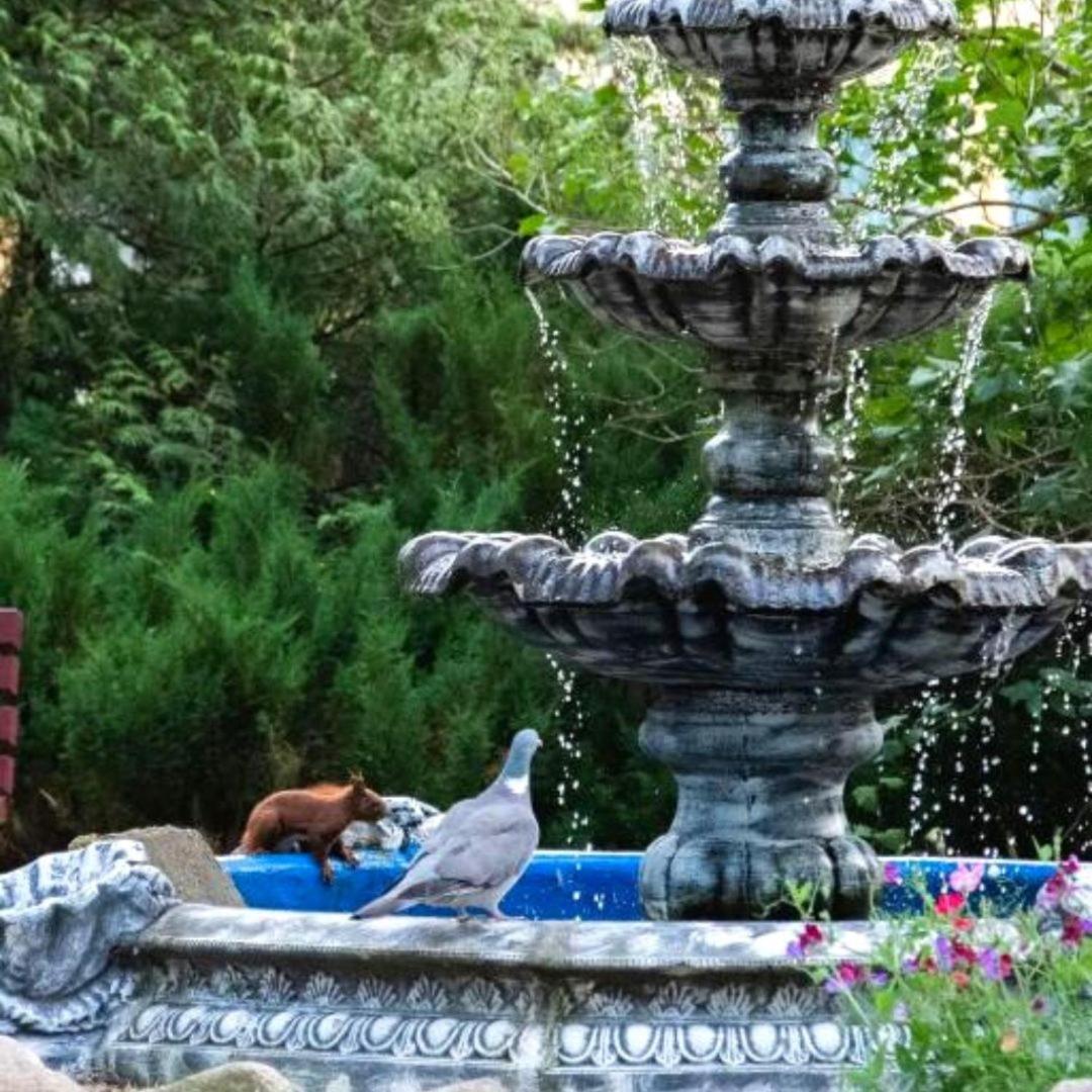 Krysztalowa Przystan Mrzezyno Bagian luar foto